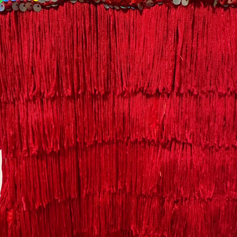 Weissman Sparkling Red Fringe Dance Costume Jazz/Tap - Picture 4 of 12
